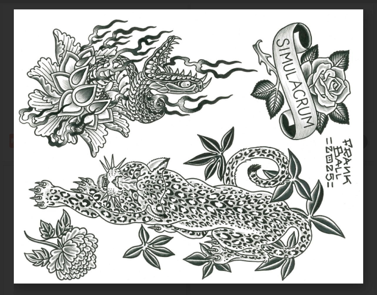 12 sheets dark frank Ball flash